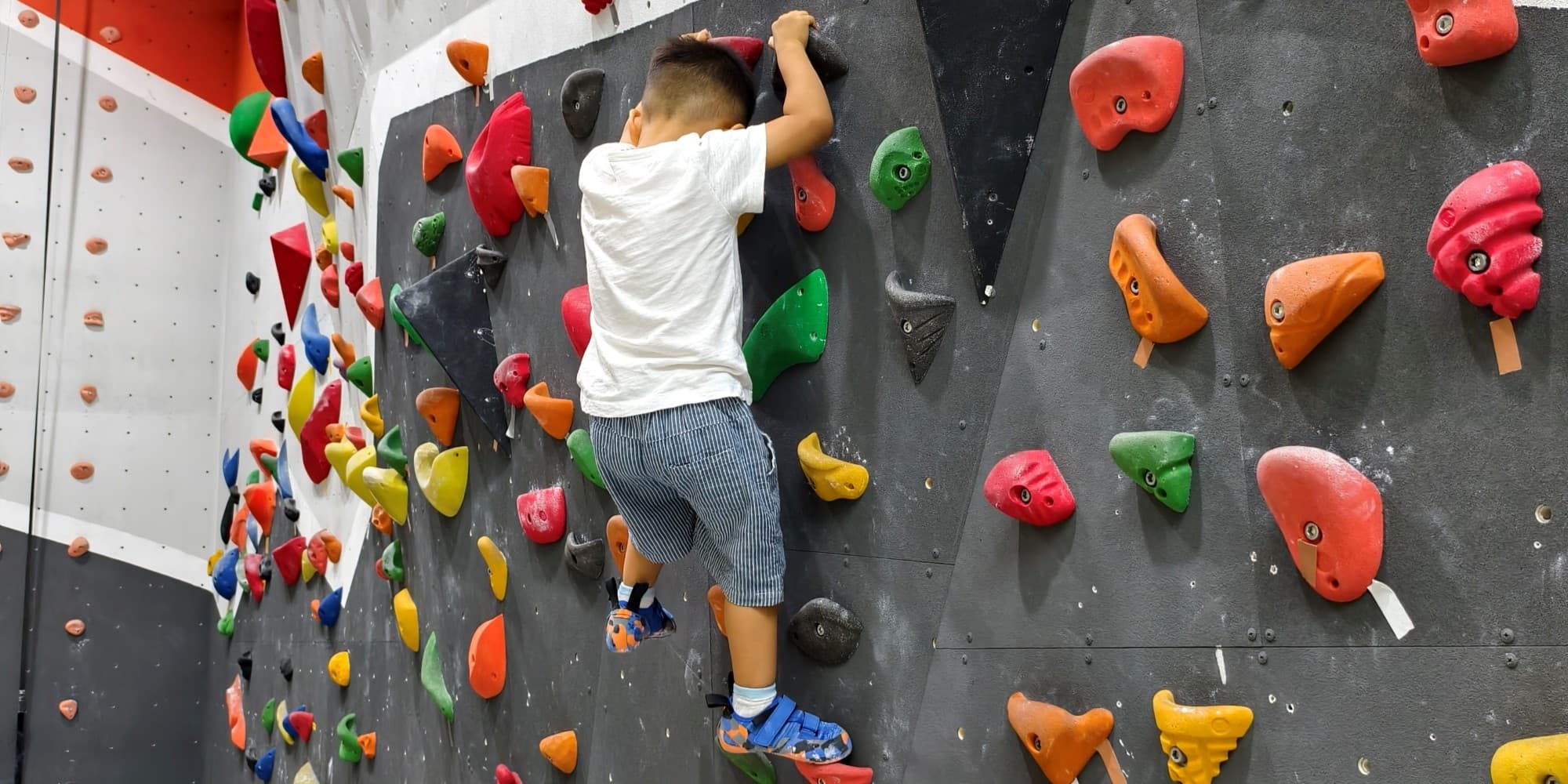 Cover Image for Climbing Up! Ethan’s First Rock Wall Adventure